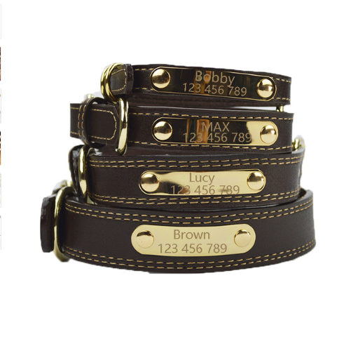 Personalized Dog Collar for Medium and Large Breeds