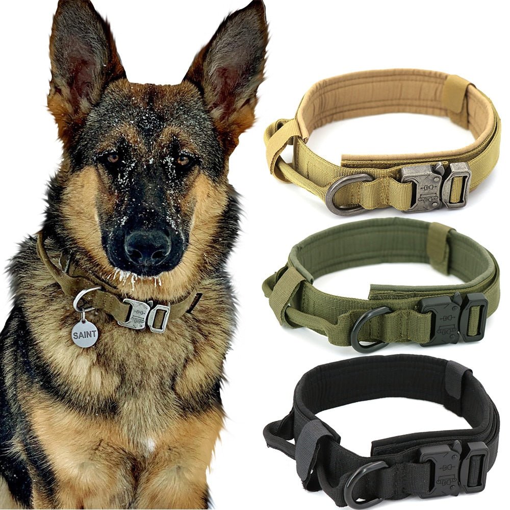 Heavy - Duty Dog Collar - Christopher James LLC