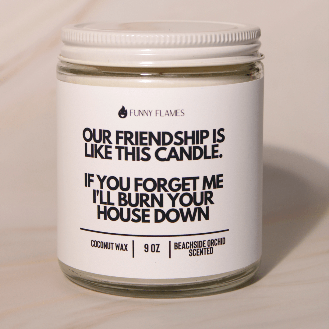 Our Friendship Is Like This Candle if you forget about me i'll burn your house down - Christopher James LLC