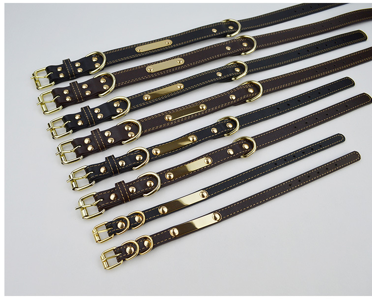 Personalized Dog Collar for Medium and Large Breeds
