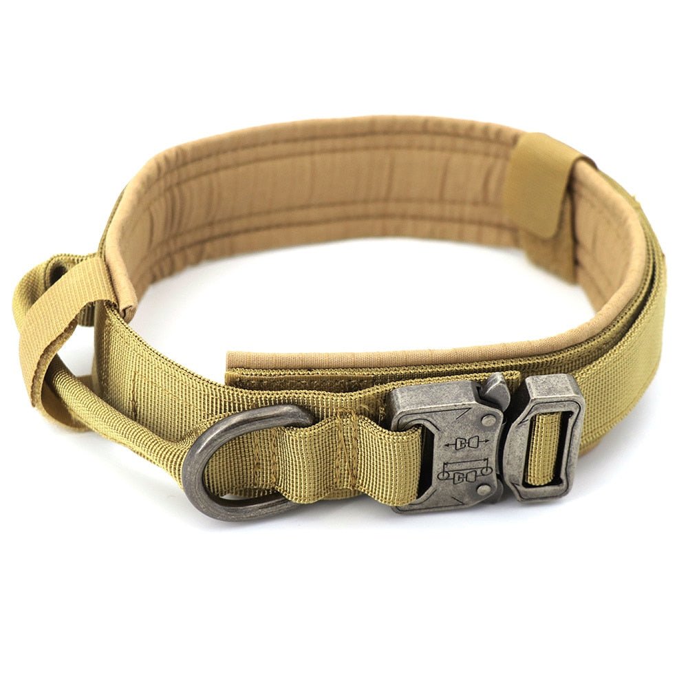 Heavy - Duty Dog Collar - Christopher James LLC