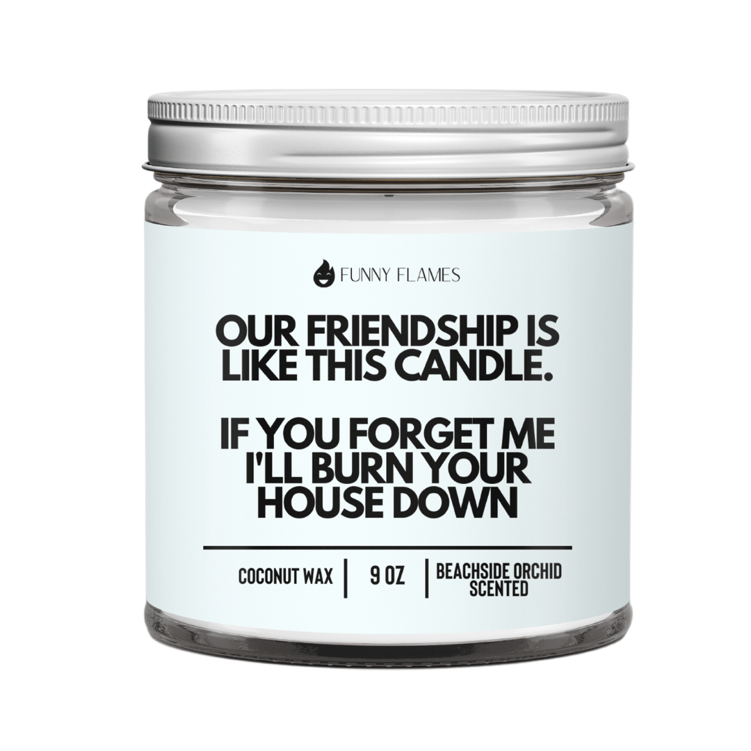 Our Friendship Is Like This Candle if you forget about me i'll burn your house down - Christopher James LLC