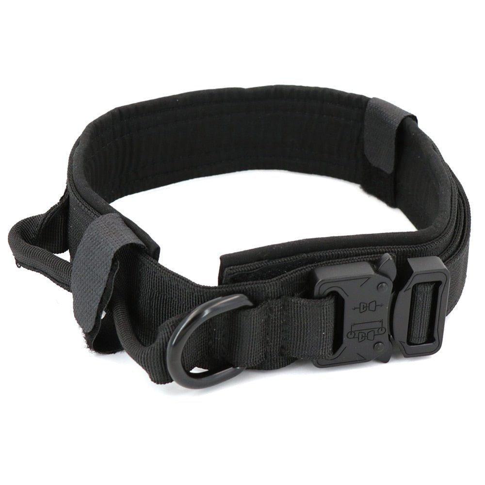 Heavy - Duty Dog Collar - Christopher James LLC