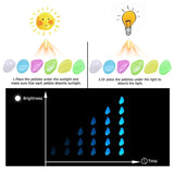 Glow in the Dark Garden Pebbles - Christopher James LLC