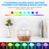 Desktop Rain Cloud Humidifier - Christopher James LLC